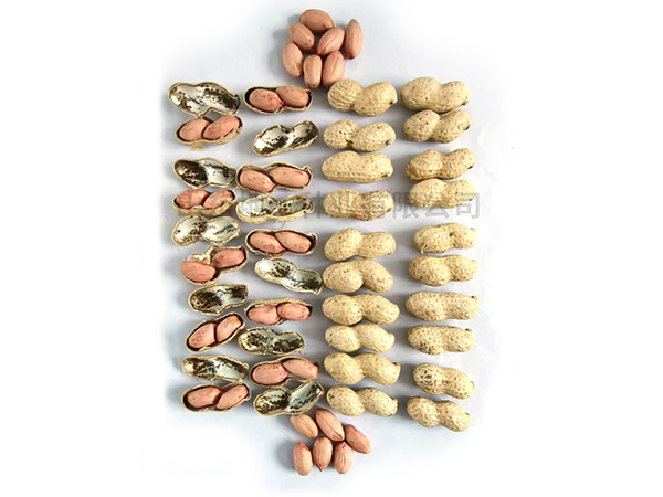 濰花22號(hào)廠家